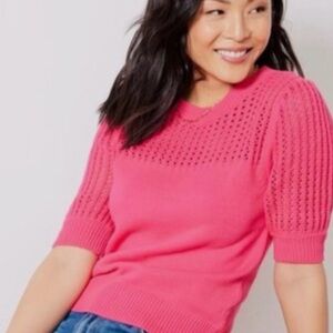 Evereve Pink Crew Neck Sweater with Textured Knit